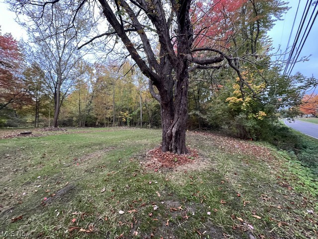 6742 Warren - Sharon Road Brookfield, OH 44403 - Photo 15 of 16 View of yard