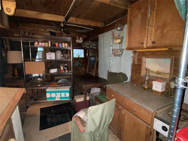 a view of a park with a tree