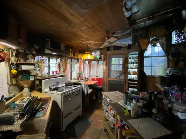 a view of a forest with trees