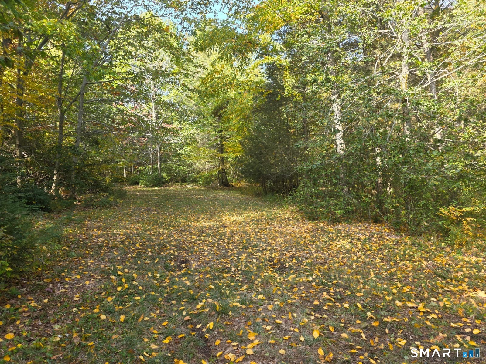 53 Flagg Hill Road Colebrook, CT 06021 - Photo 12 of 17 Gallery Image 12