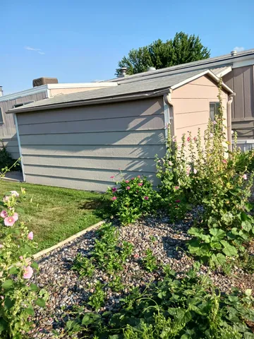 a view of a backyard with plants