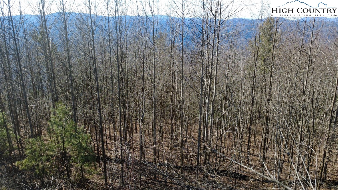 Angelfire Trail Deep Gap, NC 28618 - Photo 18 of 23 a view of a wooden door