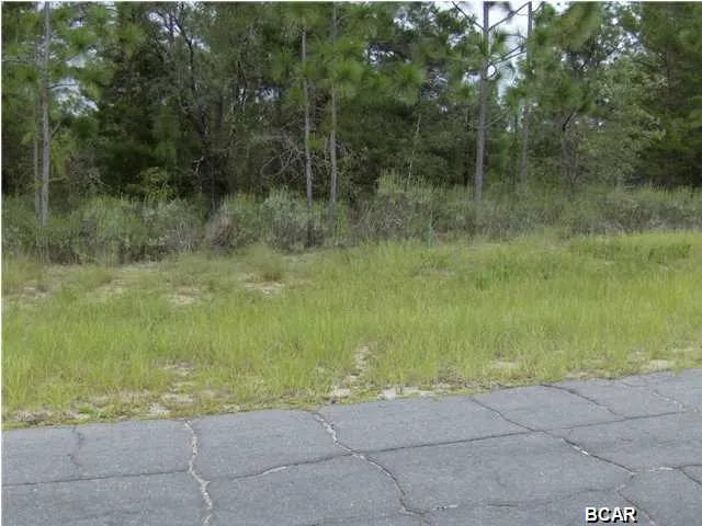 $34,900 | Lot 21 Pinehurst Avenue, Chipley, FL 32428