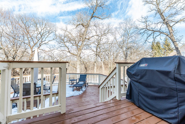 604 Barberry Trail Fox River Grove, IL 60021 - Photo 30 of 39