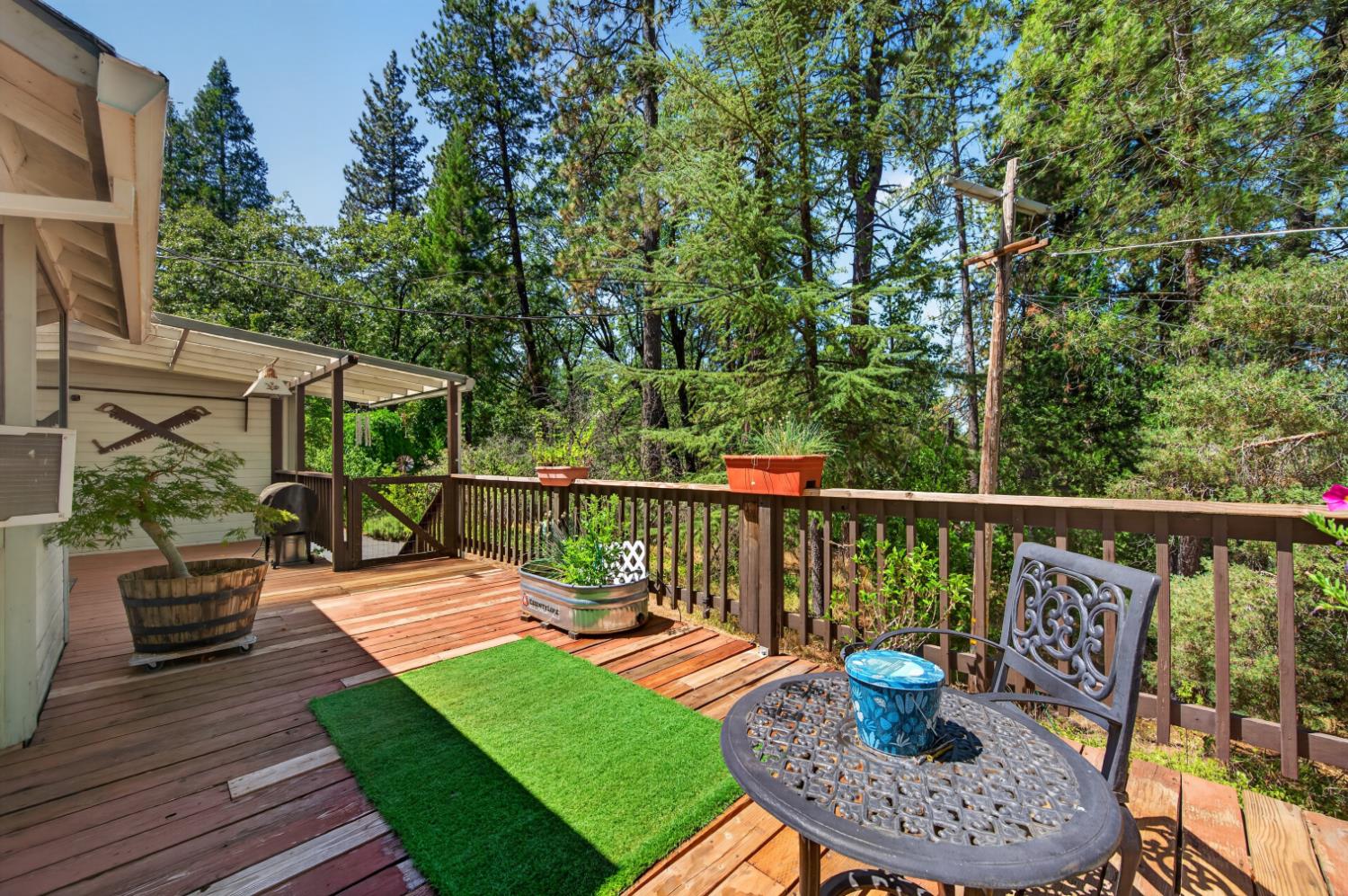 1007 Sage Road Colfax, CA 95713 - Photo 42 of 53 Gallery Image 42