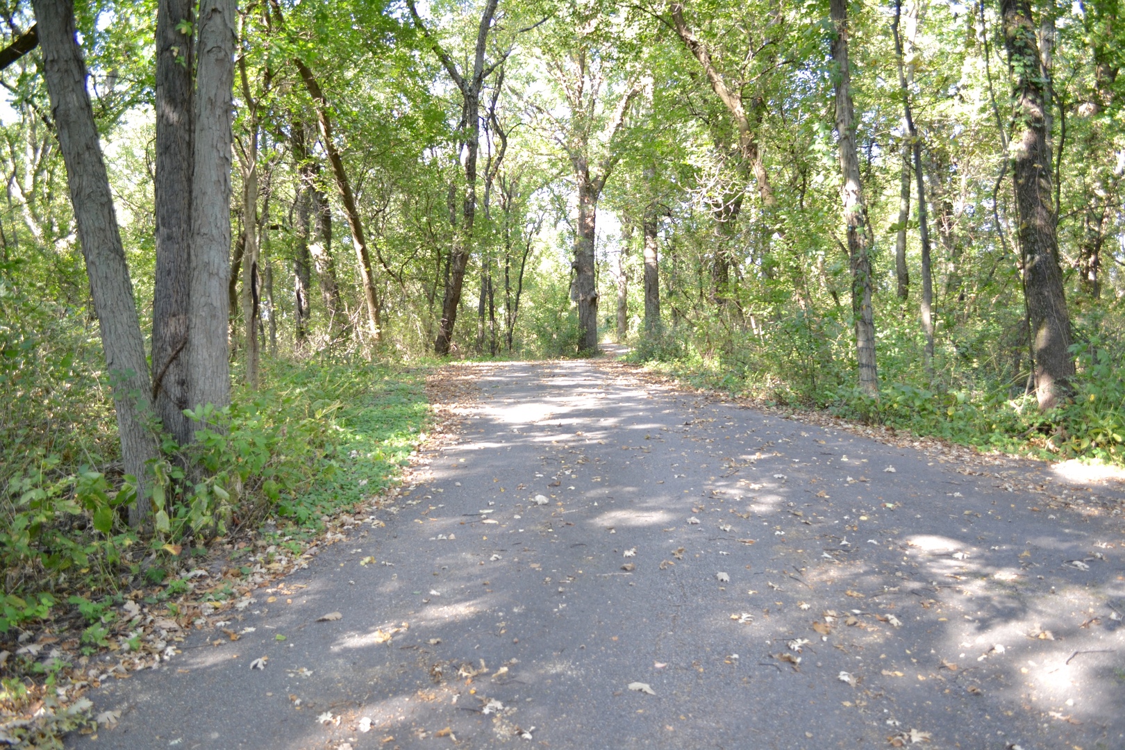 40W565 Bowes Road Elgin, IL 60124 - Photo 2 of 27