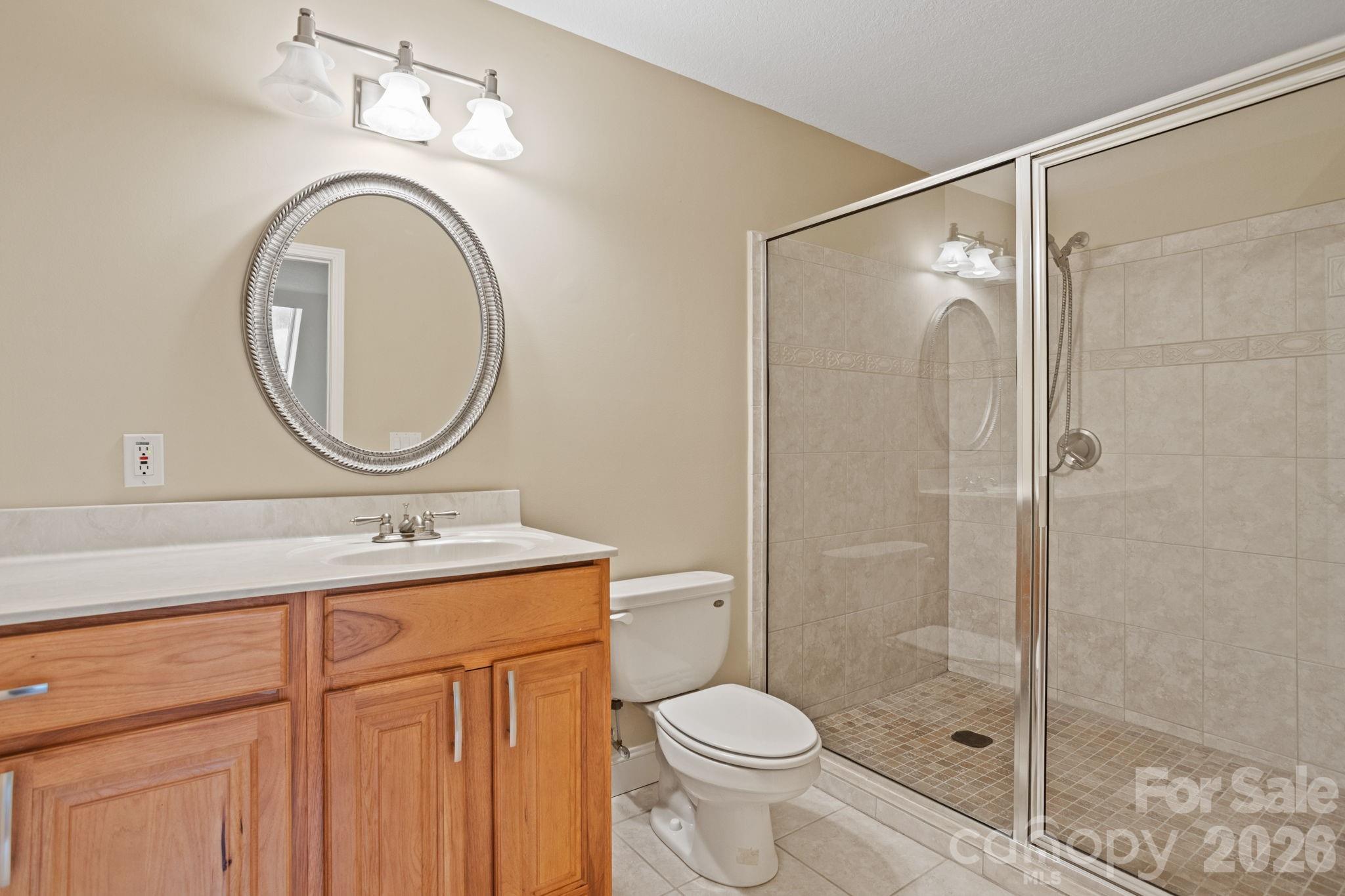 199 Judson Ridge Road Arden, NC 28704 - Photo 34 of 48 a bathroom with a toilet a sink and a mirror