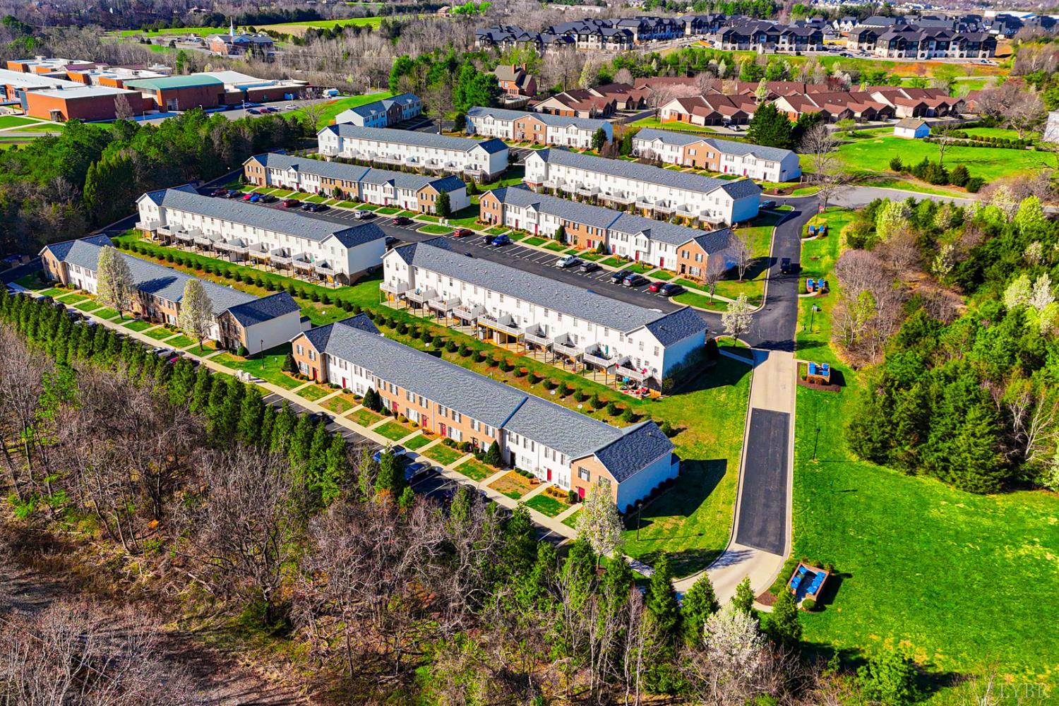 1264 Blue Ridge View Circle Forest, VA 24551 - Photo 41 of 43