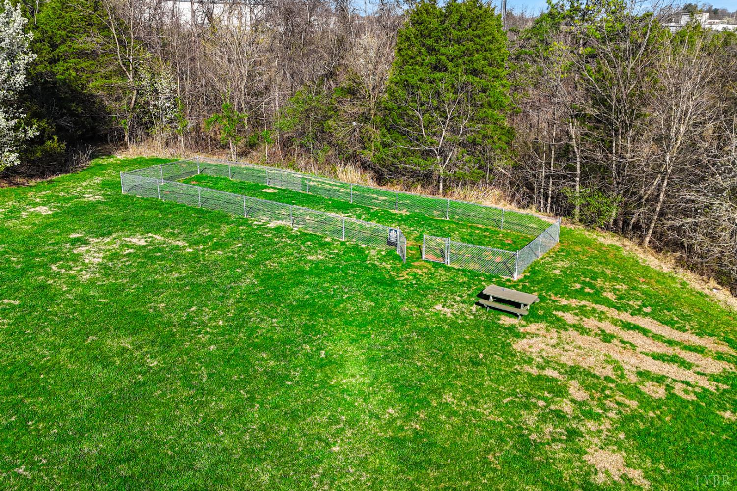 1264 Blue Ridge View Circle Forest, VA 24551 - Photo 42 of 43