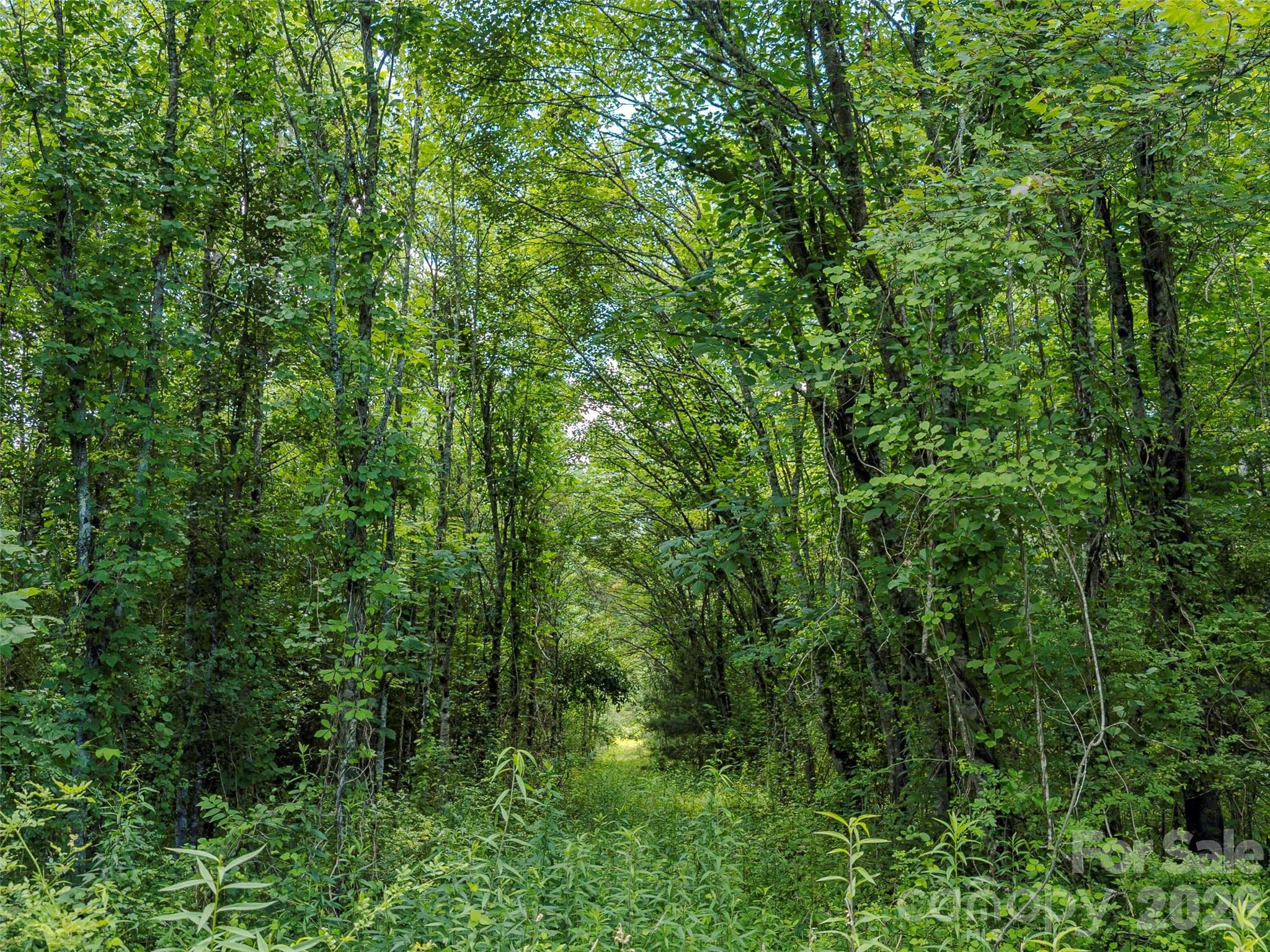 Tbd Canebrake Road Pisgah Forest, NC 28768 - Photo 2 of 43