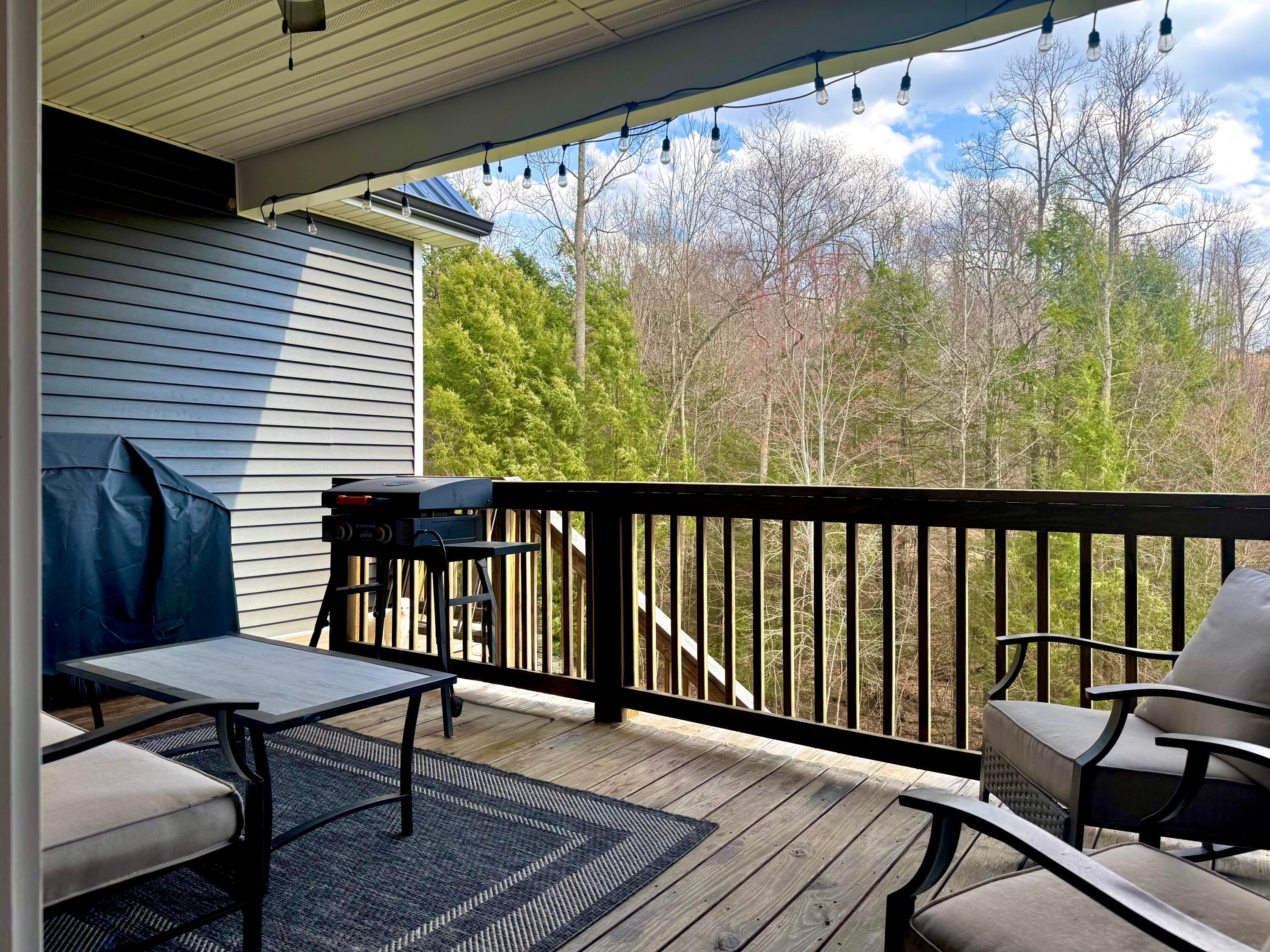 213 Sunset Ridge Lane Mount Nebo, WV 26679 - Photo 43 of 54 Gallery Image 43