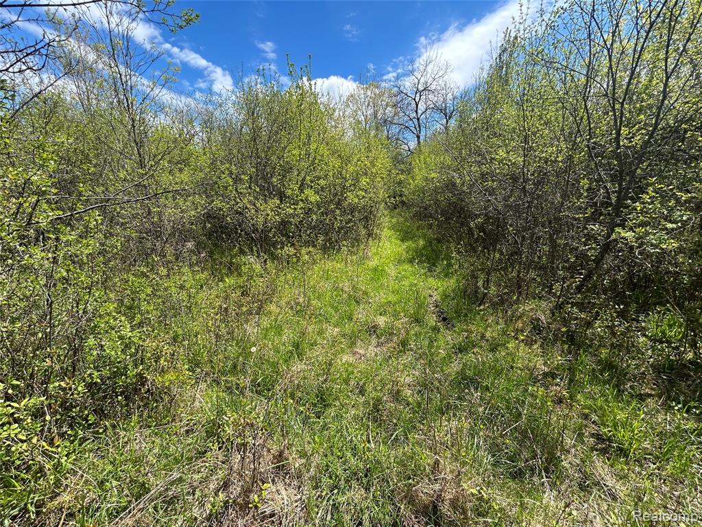 2356 South Dye Road Flint, MI 48532 - Photo 5 of 20
