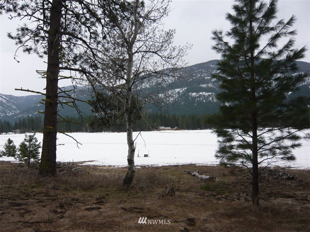 73 Chechaquo Ranch Road Mazama, WA 98833 - Photo 1 of 1 Gallery Image 1