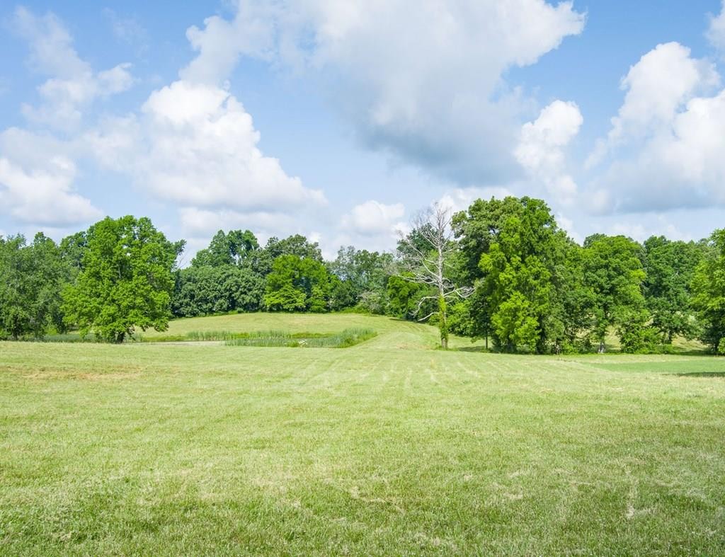 a view of a field with an trees in the background