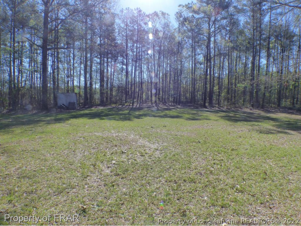 17529 Corbitt Road Laurel Hill, NC 28351 - Photo 15 of 28 Gallery Image 15
