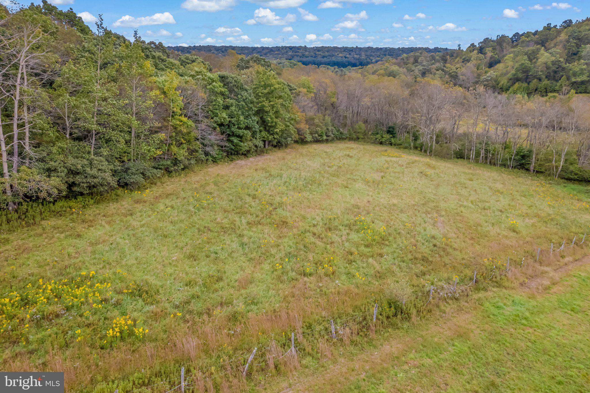 0 Calderwood Road Oakland, MD 21550 - Photo 20 of 38 Gallery Image 20