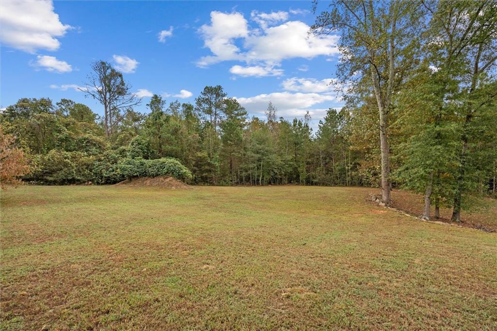 1003 Milligan Creek Road Roopville, GA 30170 - Photo 28 of 45 Gallery Image 28