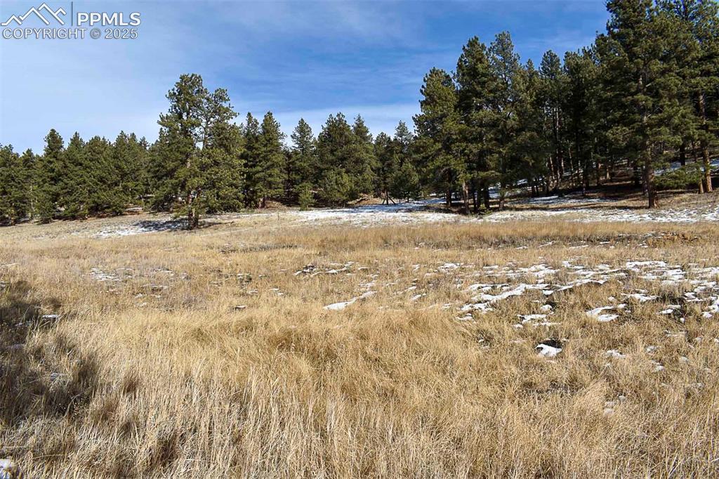 6th Street Guffey, CO 80820 - Photo 9 of 28