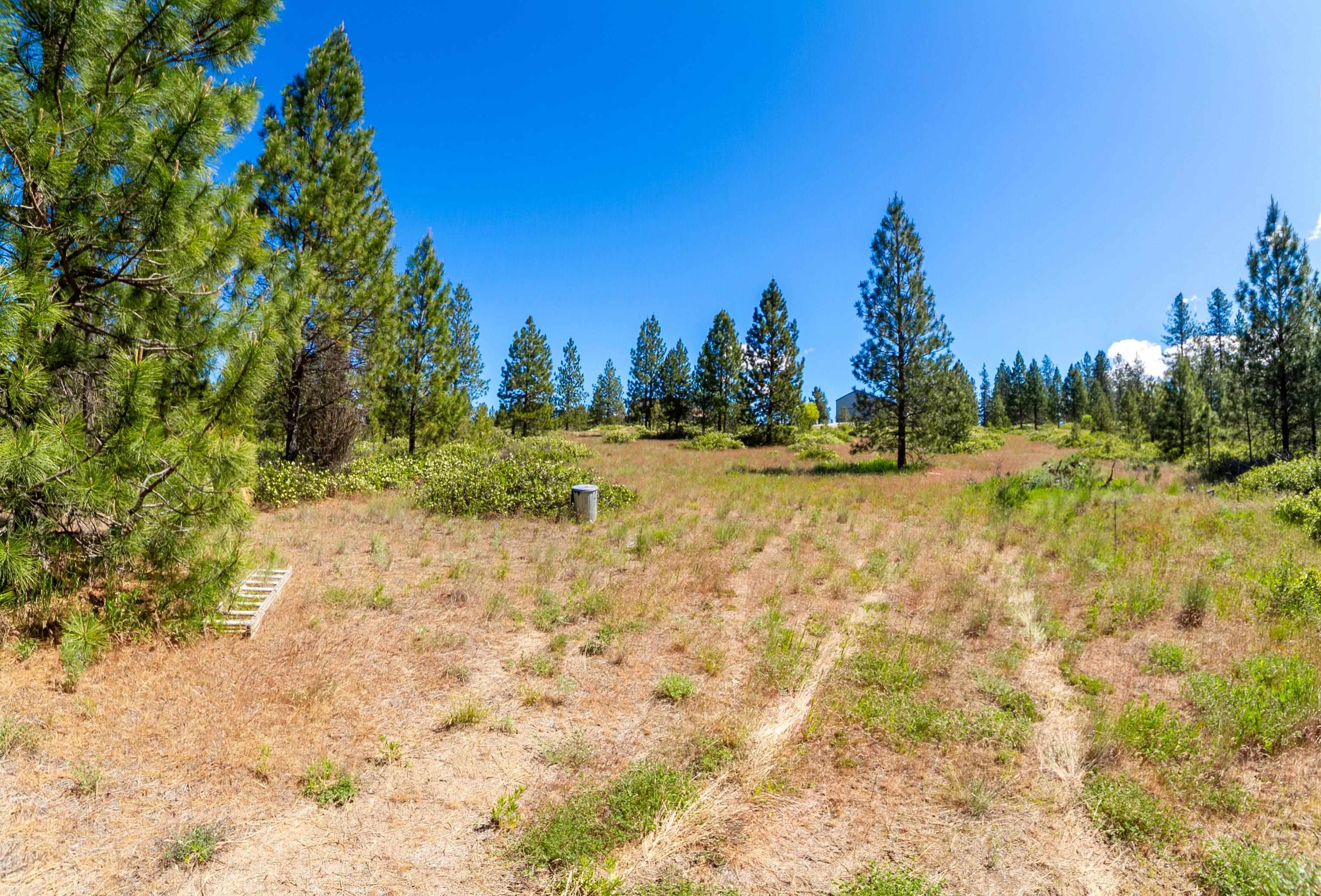 29-xxx North Hardesty Road Chattaroy, WA 99003 - Photo 24 of 40