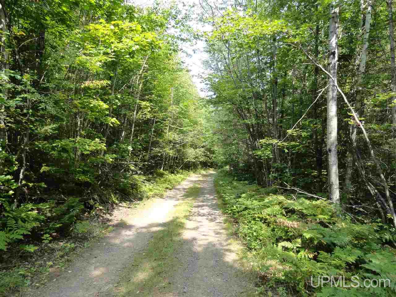 40-acres 40-acres Co Road Ishpeming, MI 49849 - Photo 29 of 36