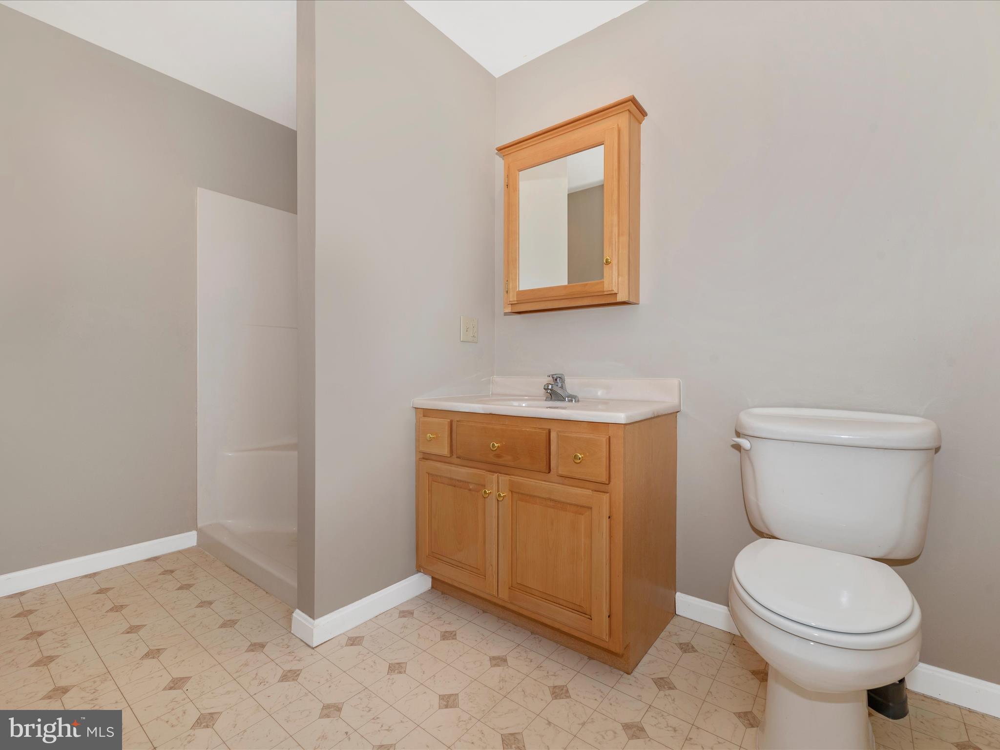 8543 Barnes Road Boonsboro, MD 21713 - Photo 22 of 52 Primary Bathroom with step-in shower