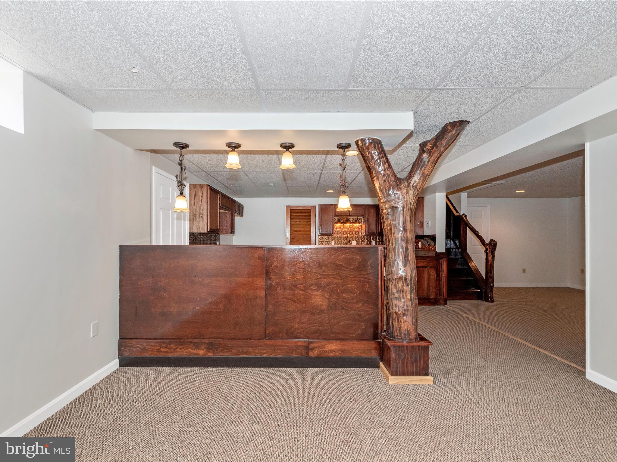 8543 Barnes Road Boonsboro, MD 21713 - Photo 35 of 52 Finished Lower Level