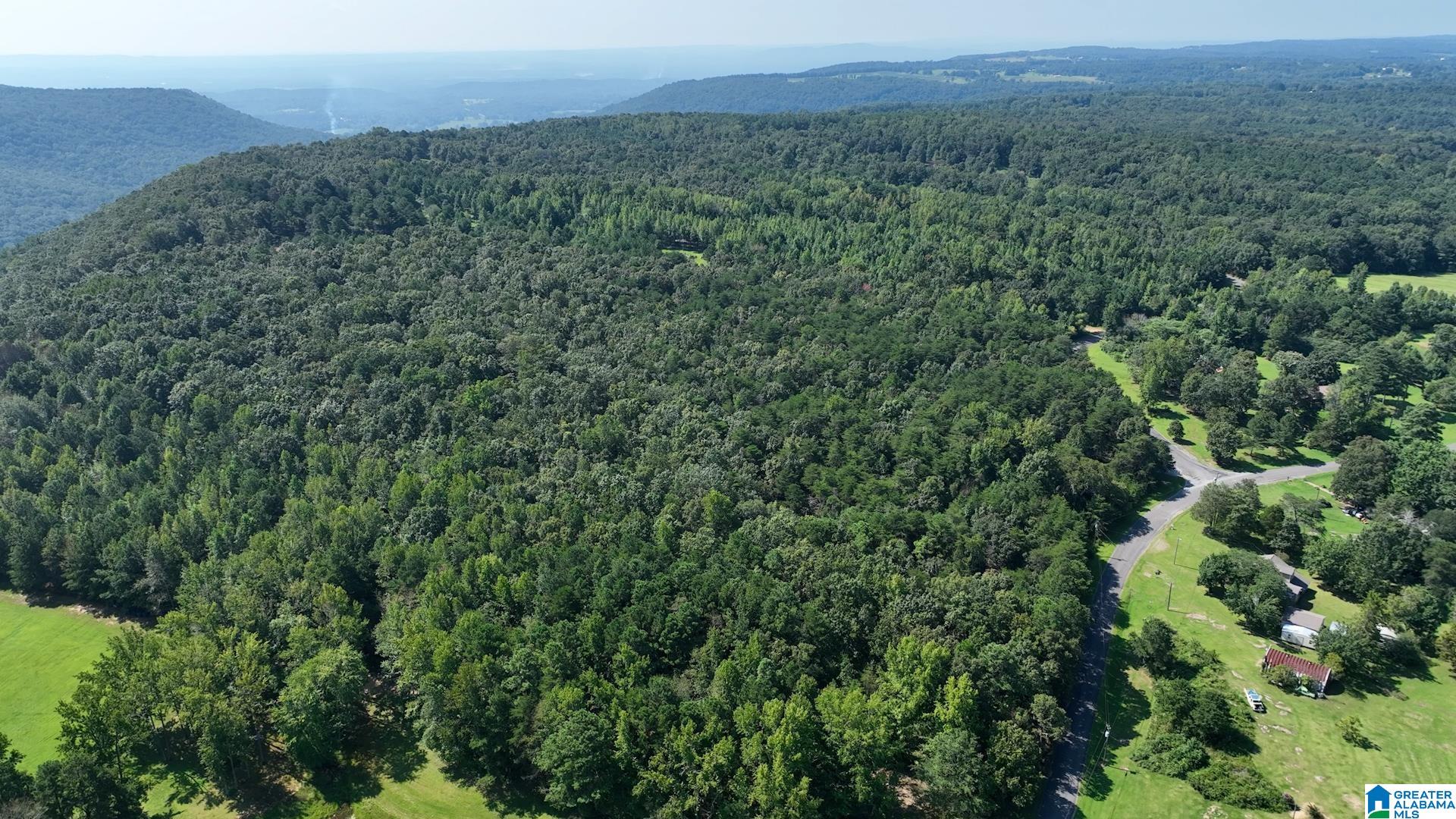 0 Cliff Springs Road, Unit 7 46 ACRES Gallant, AL 35972 - Photo 6 of 11