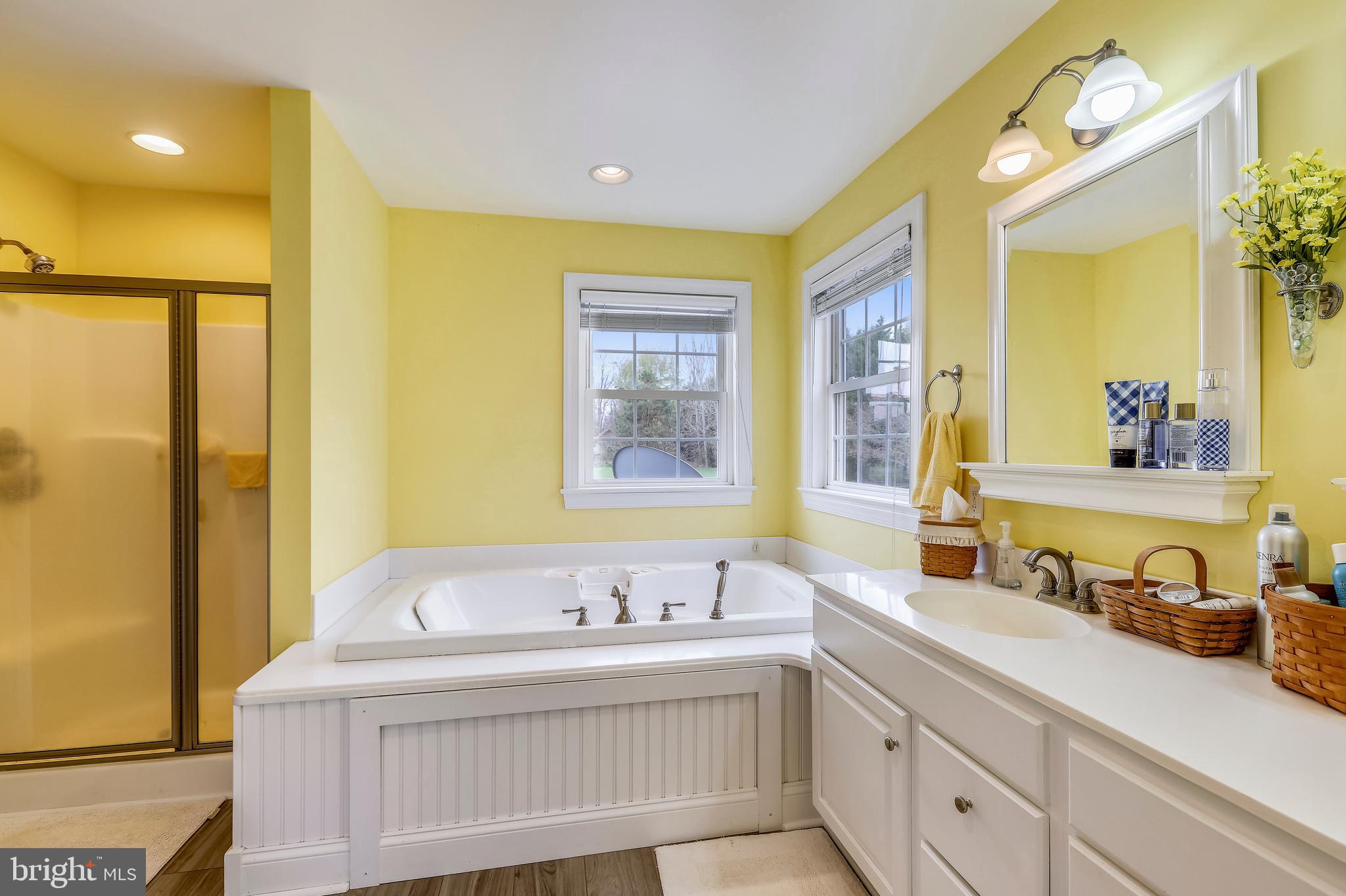 13978 Clarks Lane Ridgely, MD 21660 - Photo 18 of 28 Jacuzzi Tub with Dual sinks