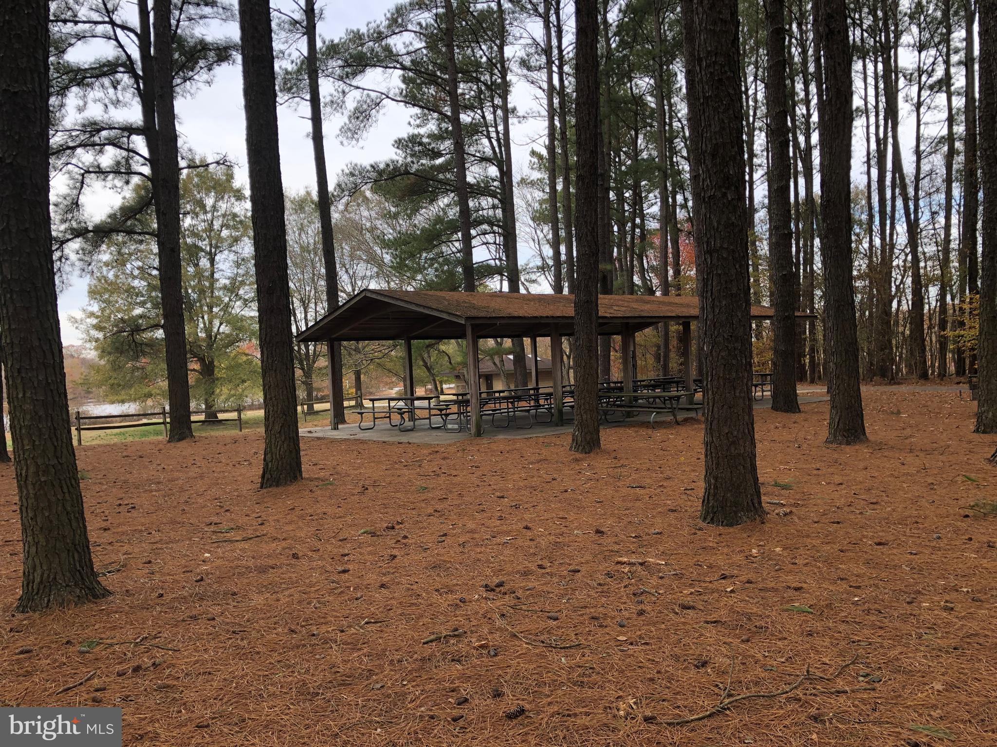 13978 Clarks Lane Ridgely, MD 21660 - Photo 26 of 28 Pavilion at the park for family functions