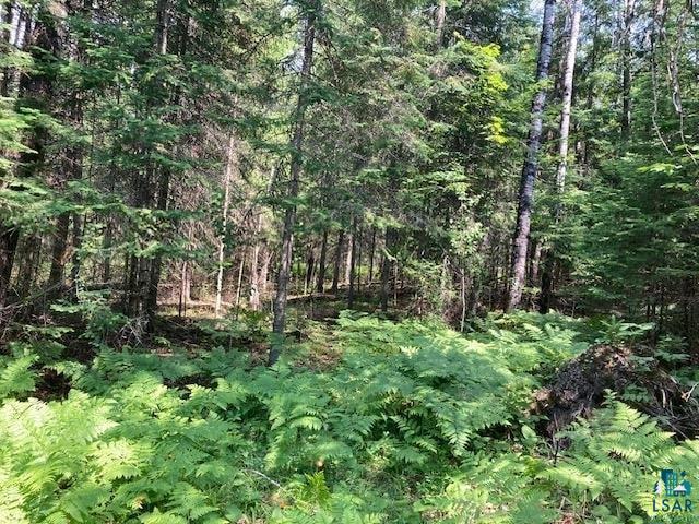 11919 Luna Lake Road Side Lake, MN 55781 - Photo 11 of 23