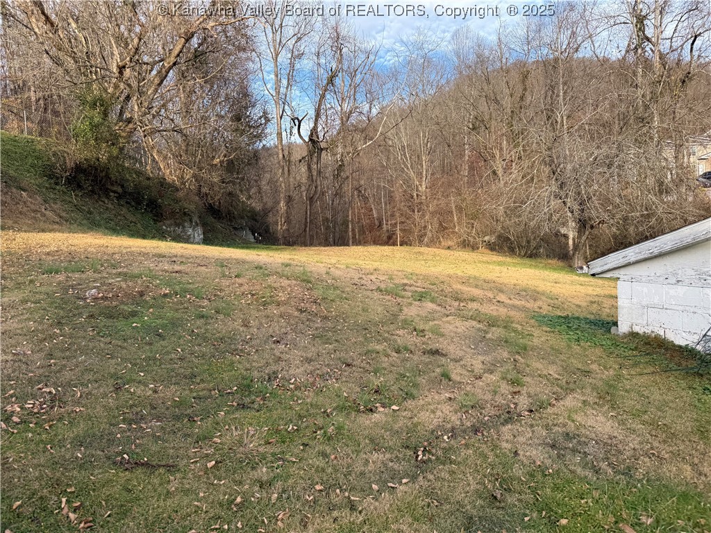 898 Thunder Road Chapmanville, WV 25508 - Photo 28 of 28 Gallery Image 28