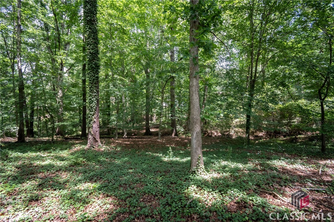 120 Tilson Road Athens, GA 30606 - Photo 64 of 65