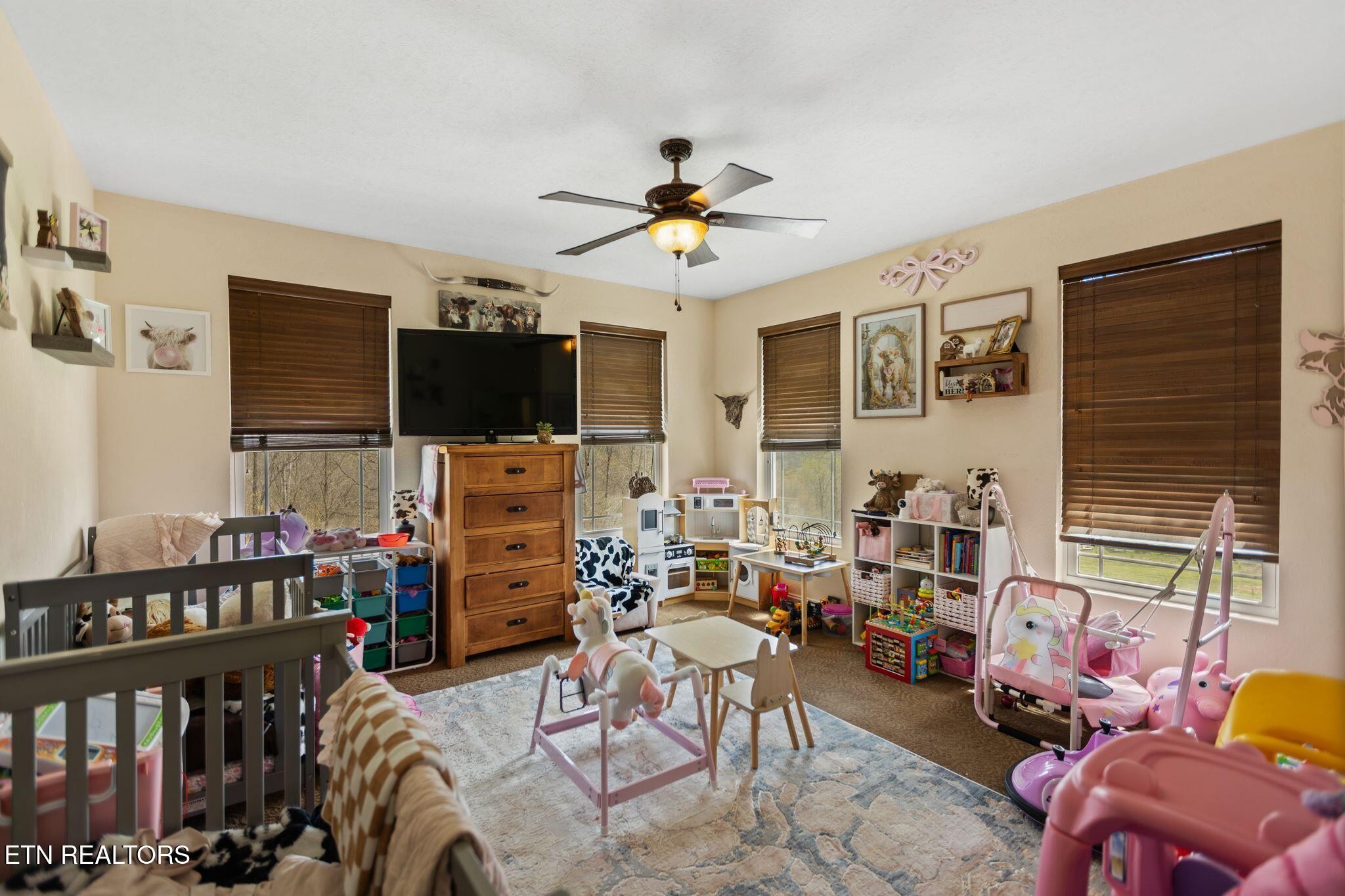 741 Clinch Valley Road Powder Springs, TN 37848 - Photo 22 of 50 a living room with furniture and a flat screen tv