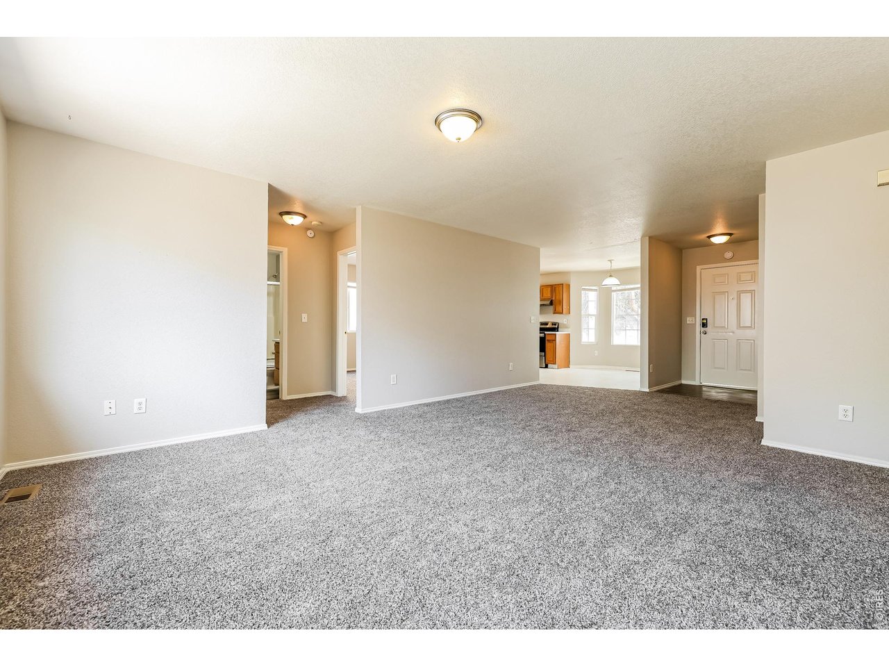 3819 Dry Gulch Road Evans, CO 80620 - Photo 6 of 22