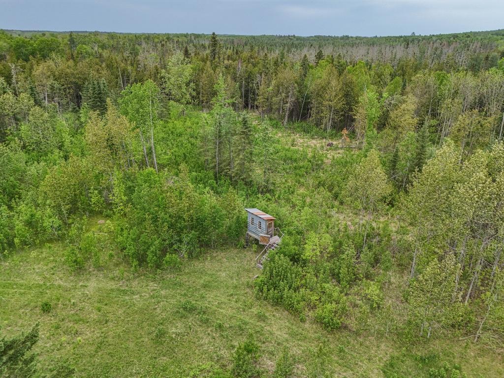 53399 Rainbow Road Deer River, MN 56636 - Photo 42 of 56
