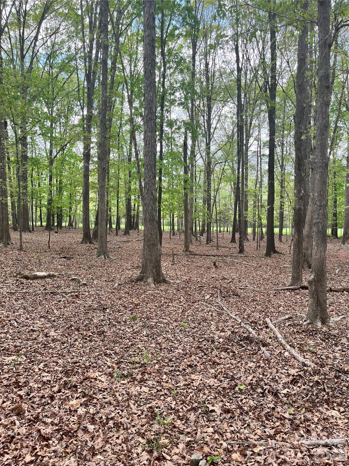 1 Wolf Pond Road Monroe, NC 28112 - Photo 1 of 4
