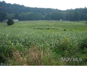 0 Rt 47 Macfarlan, WV 26148 - Photo 12 of 18