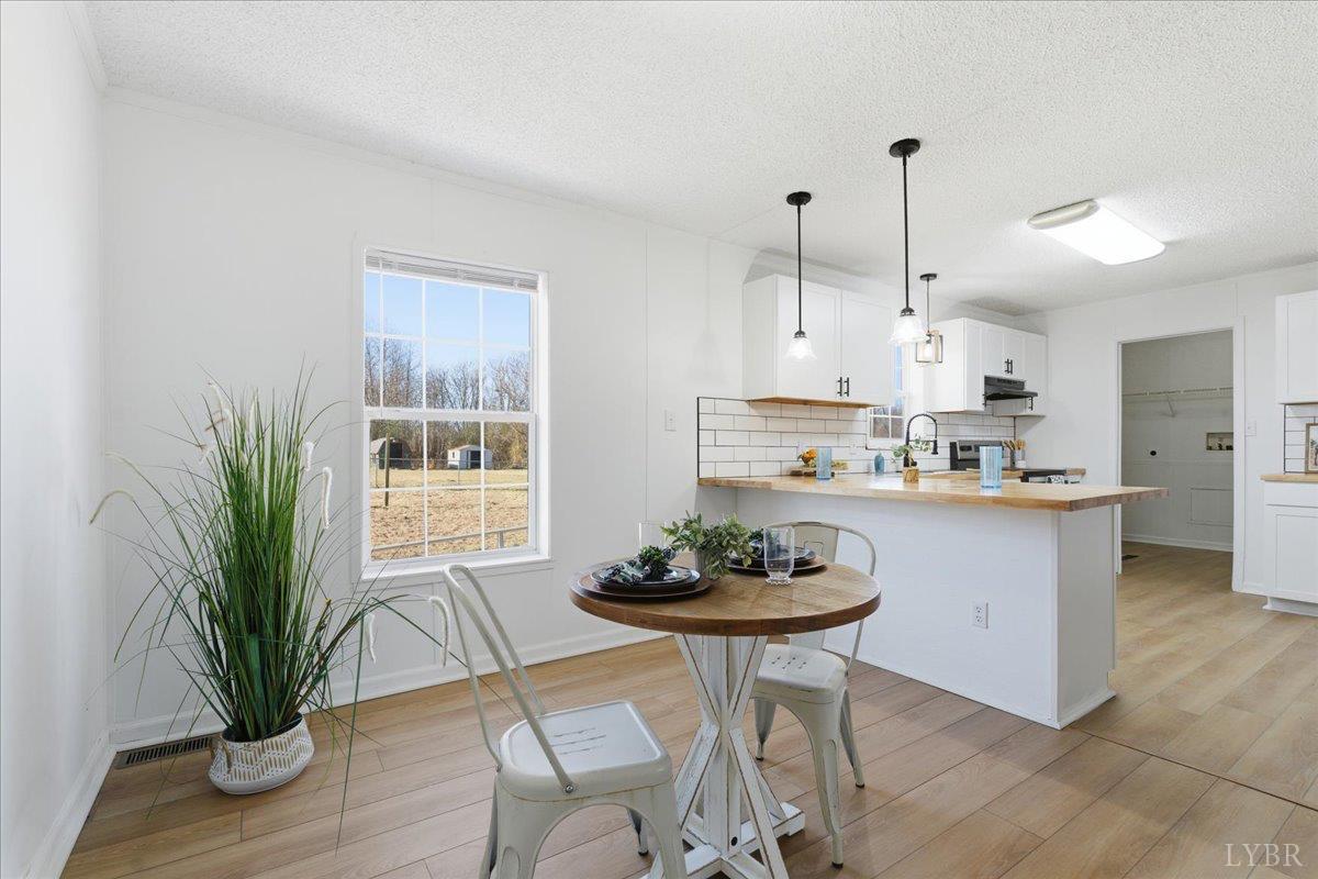 1396 Chestnut Level Lane Blairs, VA 24527 - Photo 4 of 40