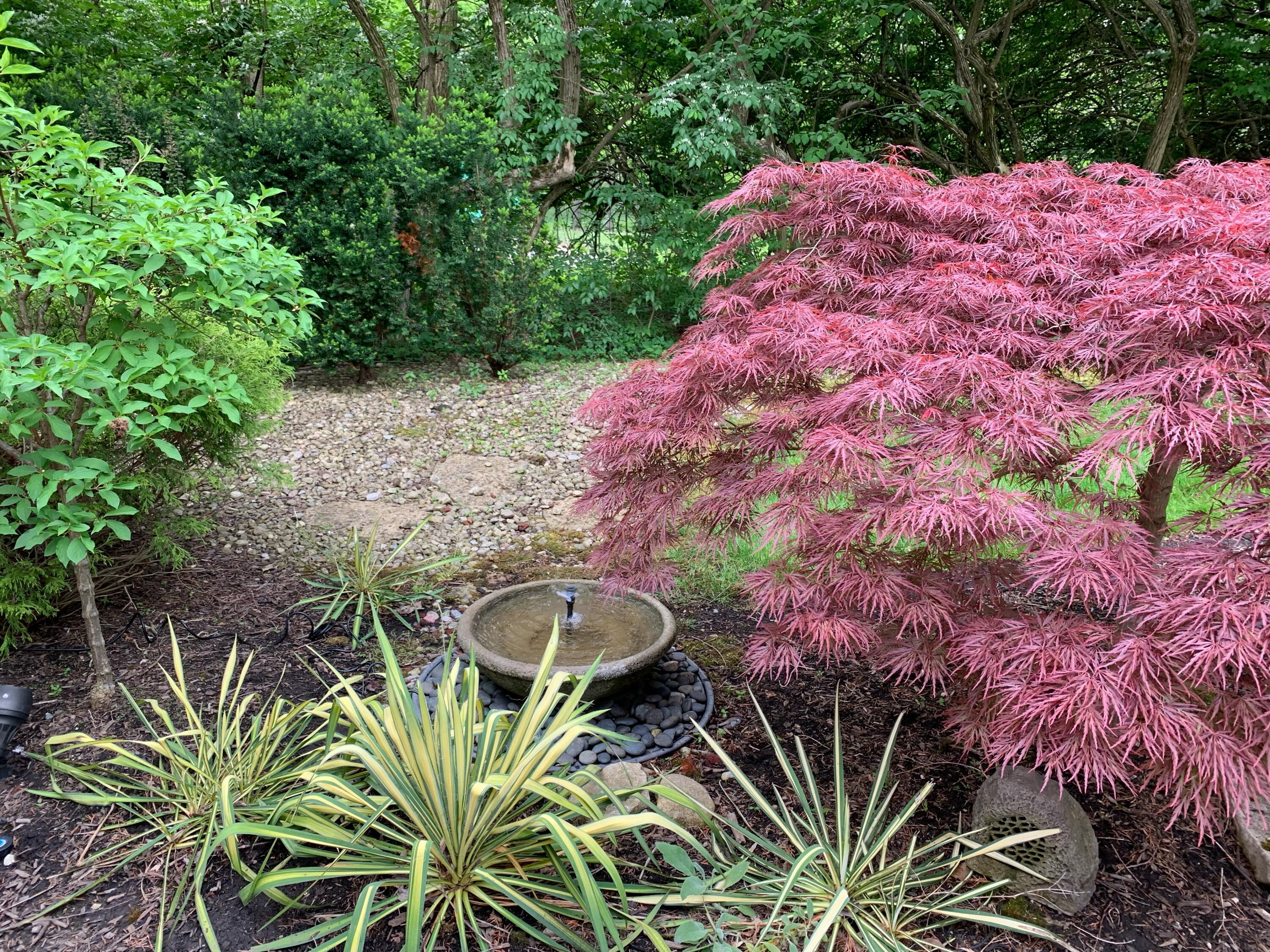 941 Robbins Way Columbus, OH 43085 - Photo 64 of 64 Backyard Water Fountain in Summer