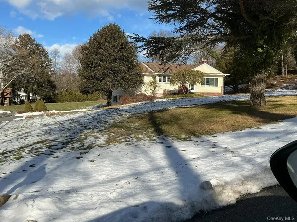 a view of yard with trees