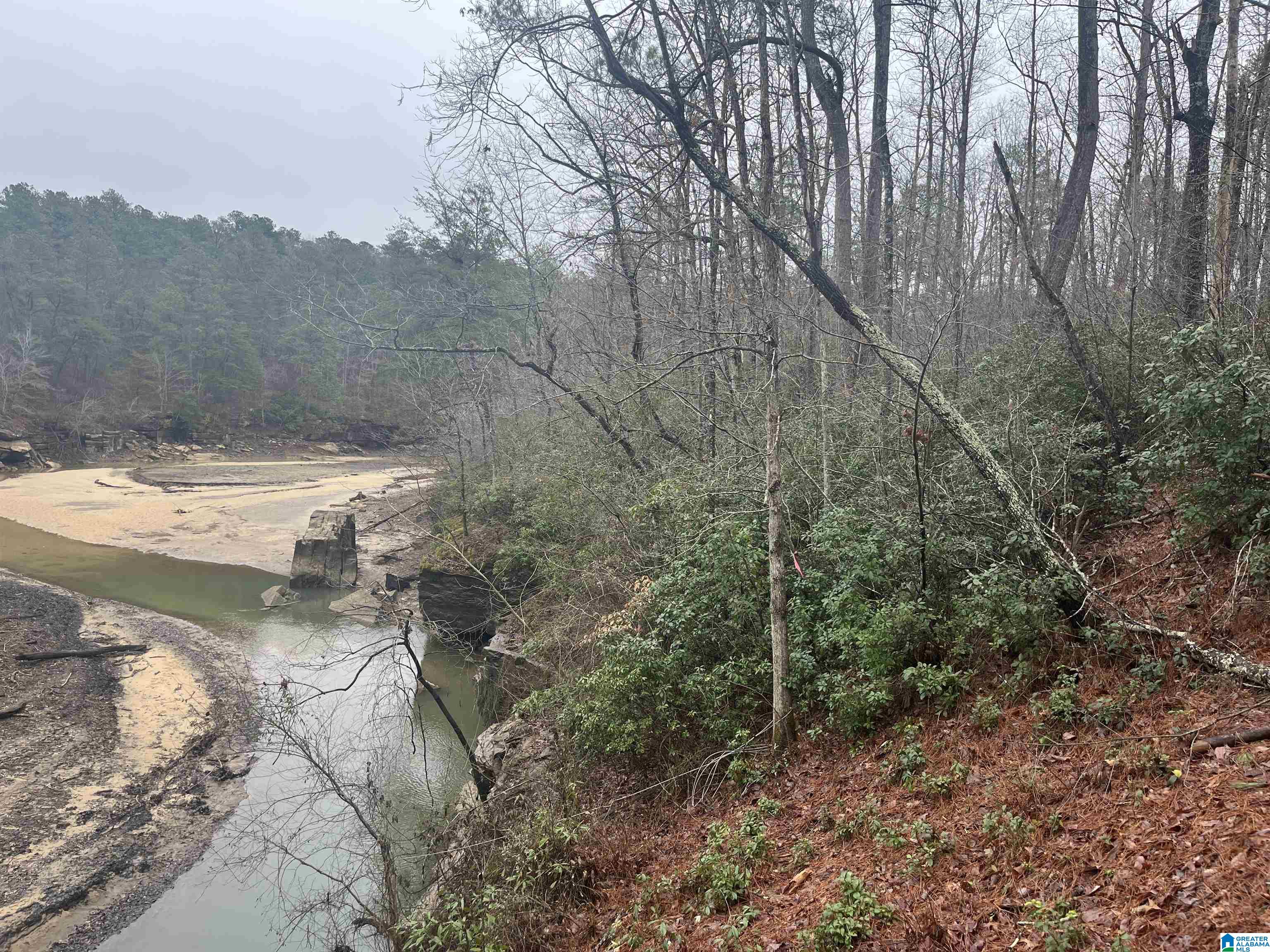 Lot 5 Little Dismal Road, Unit 5 Arley, AL 35541 - Photo 6 of 12