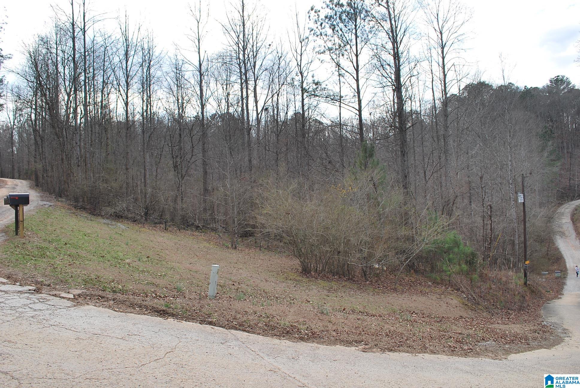 8023 County Road, Unit 8 Lineville, AL 36266 - Photo 8 of 21