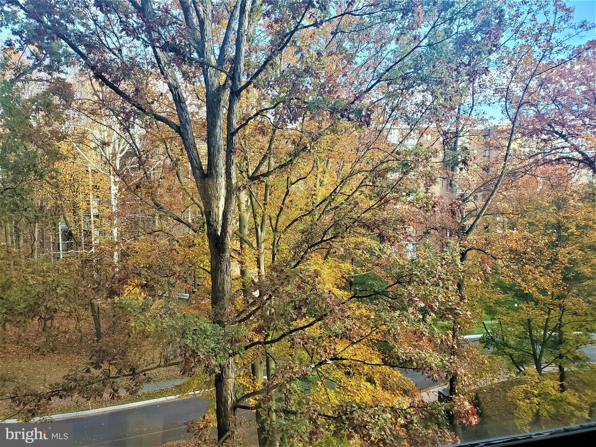 15100 Interlachen Drive, Unit 4516 Silver Spring, MD 20906 - Photo 5 of 28 Beautiful Balcony View