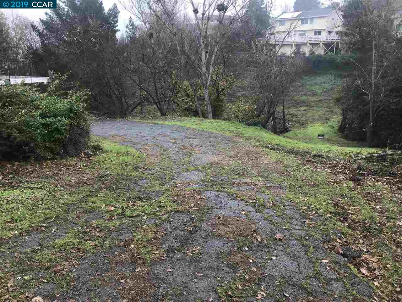 a big yard with lots of green space and deers