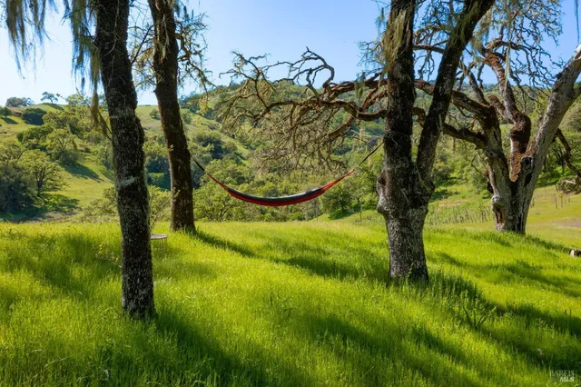 $1,950,000 | 2200 McNab Ranch Road, Ukiah, CA 95482