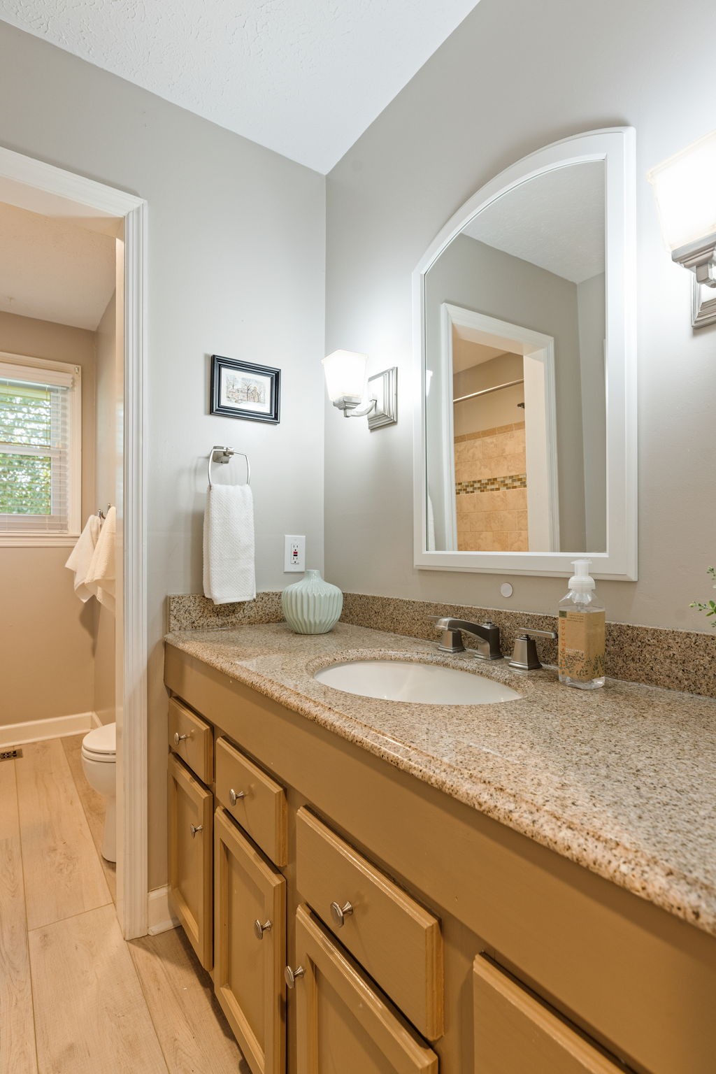 7367 Crow Cut Road Fairview, TN 37062 - Photo 41 of 96 a bathroom with a granite countertop sink and a mirror