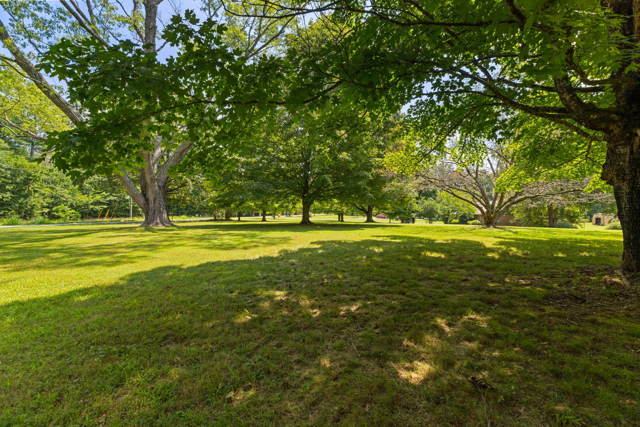 7367 Crow Cut Road Fairview, TN 37062 - Photo 71 of 96