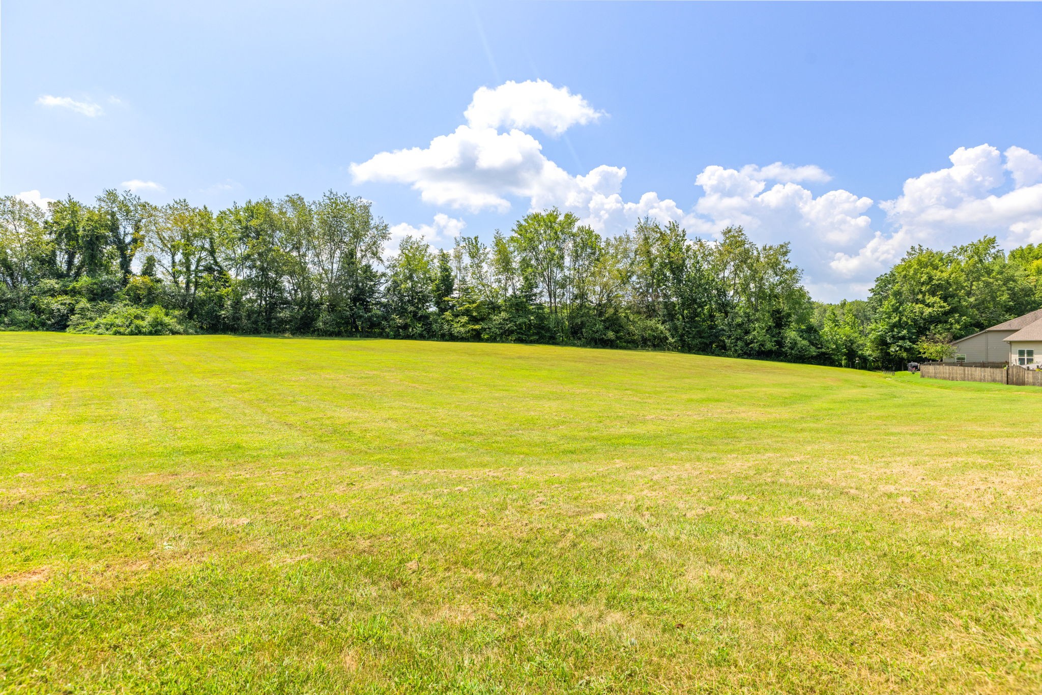 7367 Crow Cut Road Fairview, TN 37062 - Photo 79 of 96