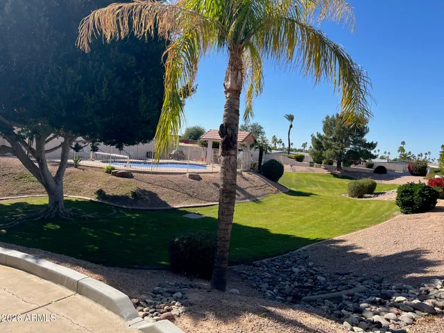 a view of a yard with palm tree