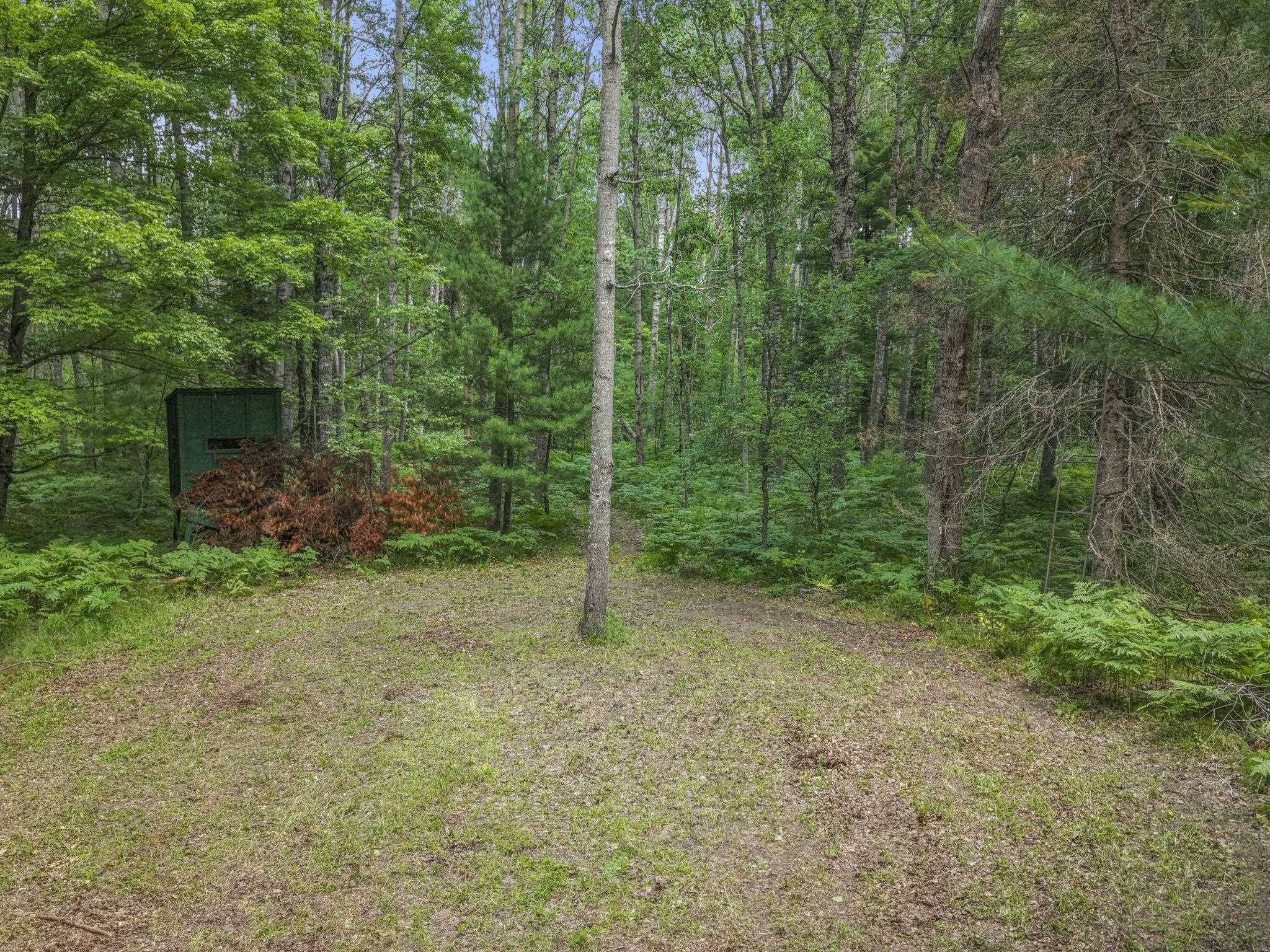 444 Lund Road Fife Lake, MI 49633 - Photo 62 of 71 1947866-813977d5-d22b-4f25-9c29-8f821efe168c.JPG